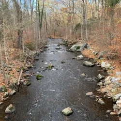 Mianus River Park - Ridgefield