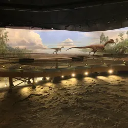 Dinosaur State Park - Rocky Hill