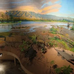 Dinosaur State Park - Rocky Hill