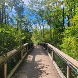Dinosaur State Park - Rocky Hill