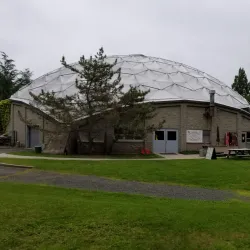 Dinosaur State Park - Rocky Hill