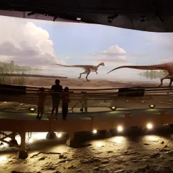 Dinosaur State Park - Rocky Hill