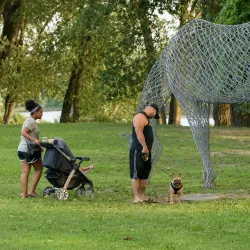 Great River Park - Rocky Hill