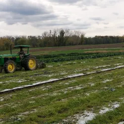 Rocky Hill Farmers Market - Rocky Hill