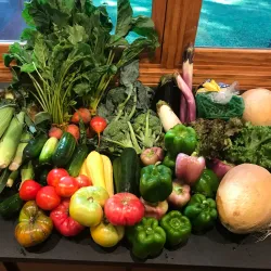 Rocky Hill Farmers Market - Rocky Hill