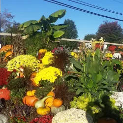 Rocky Hill Farmers Market - Rocky Hill