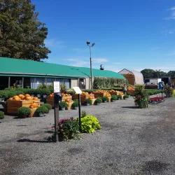 Rocky Hill Farmers Market - Rocky Hill