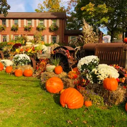 Rocky Hill Farmers Market - Rocky Hill