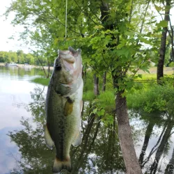 Wethersfield Cove - Rocky Hill