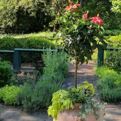 Bartlett Arboretum & Gardens - Stamford