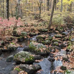 Bartlett Arboretum & Gardens - Stamford