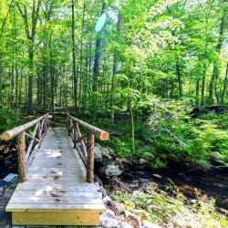 Bartlett Arboretum & Gardens - Stamford