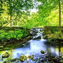 Bartlett Arboretum & Gardens - Stamford