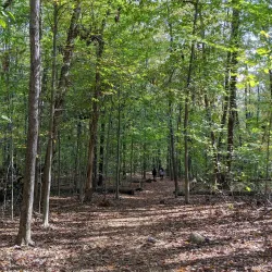 Bartlett Arboretum & Gardens - Stamford