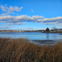 Cove Island Park - Stamford