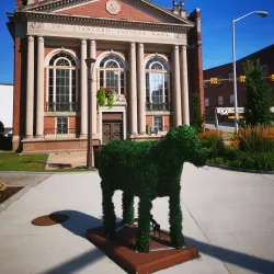 Downtown Stamford - Stamford