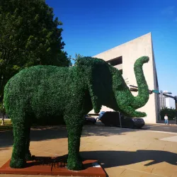 Downtown Stamford - Stamford