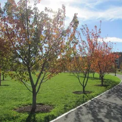 Mill River Park - Stamford