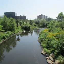 Mill River Park - Stamford