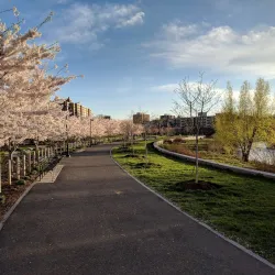 Mill River Park - Stamford