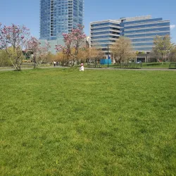 Mill River Park - Stamford