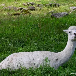 Stamford Museum & Nature Center - Stamford