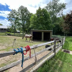 Stamford Museum & Nature Center - Stamford