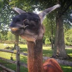 Stamford Museum & Nature Center - Stamford