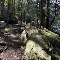 Burr Pond State Park - Torrington