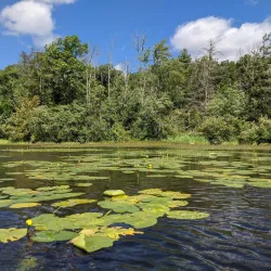 Burr Pond State Park - Torrington