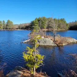 Burr Pond State Park - Torrington