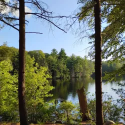 Burr Pond State Park - Torrington