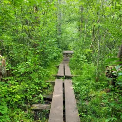 Burr Pond State Park - Torrington