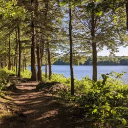 Burr Pond State Park - Torrington
