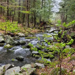 Burr Pond State Park - Torrington