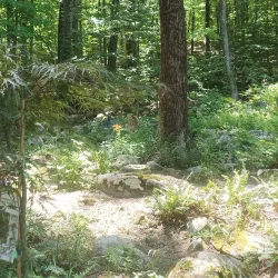 Downtown Torrington - Torrington