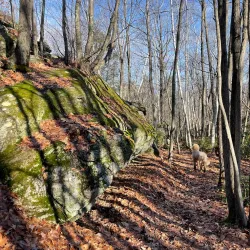 Leatherman's Cave - Torrington