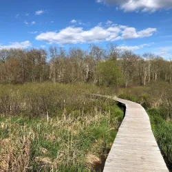 White Memorial Conservation Center - Torrington