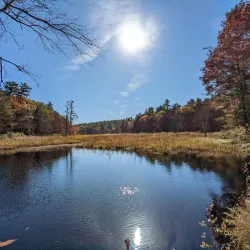 White Memorial Conservation Center - Torrington