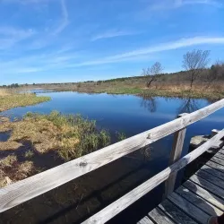 White Memorial Conservation Center - Torrington