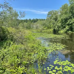 White Memorial Conservation Center - Torrington