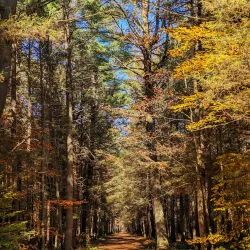 White Memorial Conservation Center - Torrington