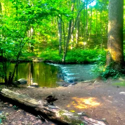 Trumbull Center - Trumbull