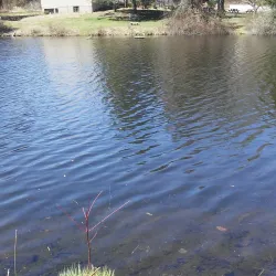 Trumbull Nature and Arts Center - Trumbull