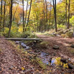 Giuffrida Park - Wallingford