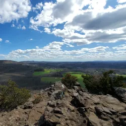 Giuffrida Park - Wallingford