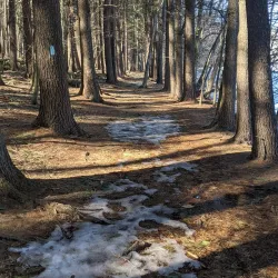 Giuffrida Park - Wallingford