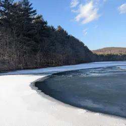 Giuffrida Park - Wallingford