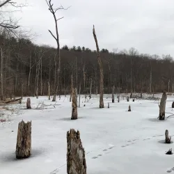 Flanders Nature Center & Land Trust - Waterbury