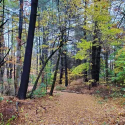Flanders Nature Center & Land Trust - Waterbury